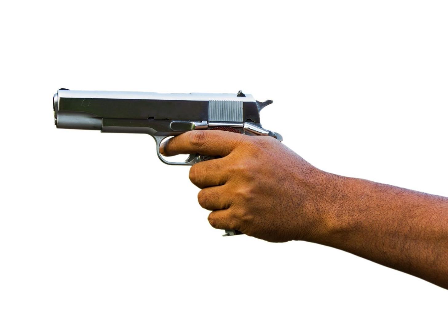 Gun